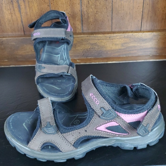 ecco powered by receptor technology